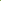 Elm Tree (Ulmus spp.)