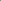 Maidenhair Fern (Adiantum spp.)